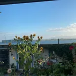 Ahoi Marie אלט רדביץ