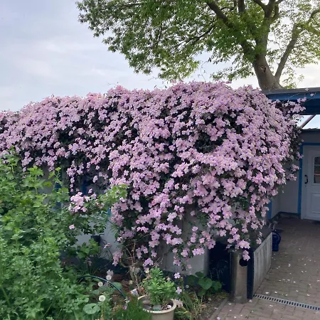 Ahoi Marie * Alt Reddevitz