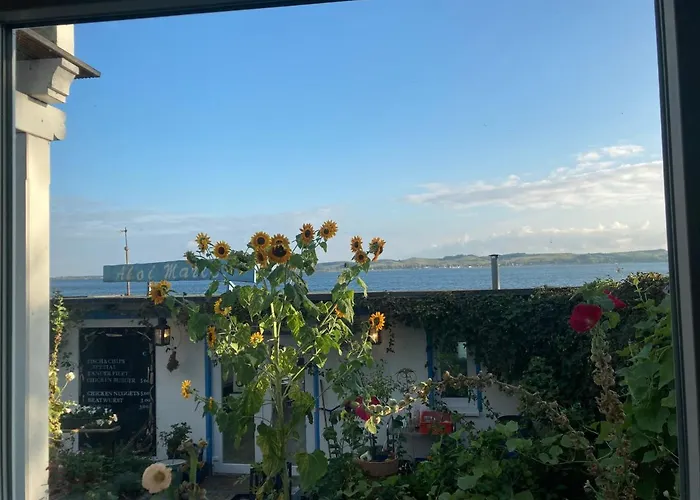 Ahoi Marie Alt Reddevitz